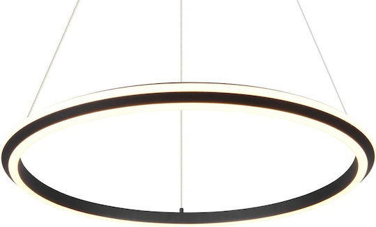 Trio Lighting Amador Pendant Light Black