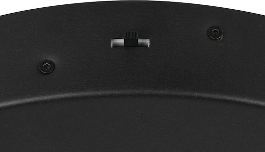 Trio Lighting Keaton Pendant Light Black