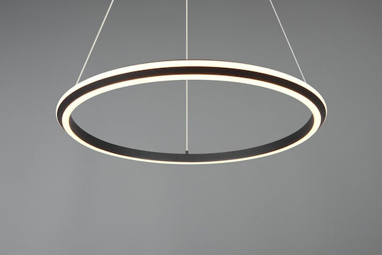 Trio Lighting Amador Pendant Light Black