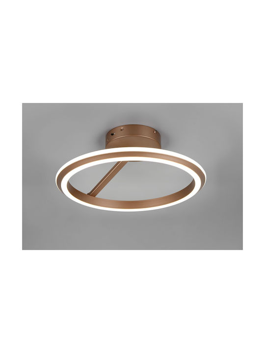 Trio Lighting Amador Таванно осветление Кафяв