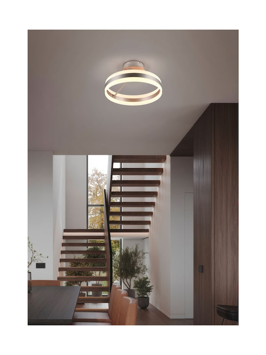 Trio Lighting Dios Πλαφονιέρα Trio Lighting Dios Πλαφονιέρα