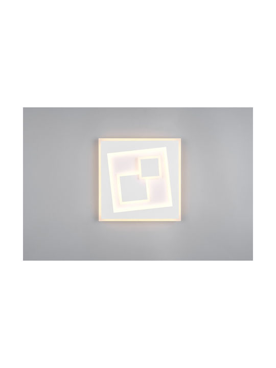 Trio Lighting Таванно осветление Бяла