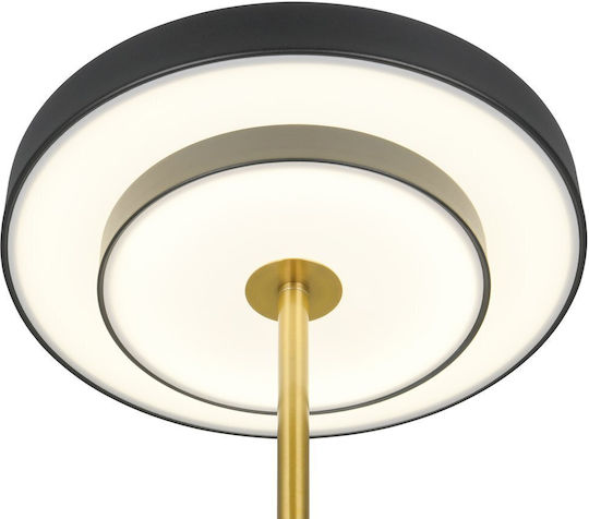 Trio Lighting Keaton Dekorative Lampe Schwarz