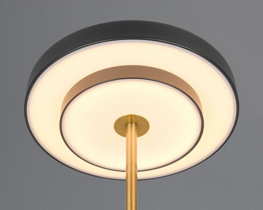 Trio Lighting Keaton Dekorative Lampe Schwarz