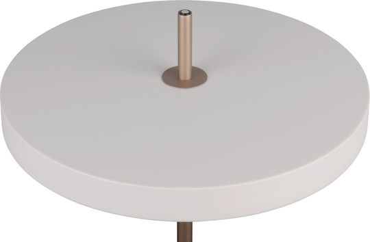 Trio Lighting Keaton LED Floor Lamp Gray