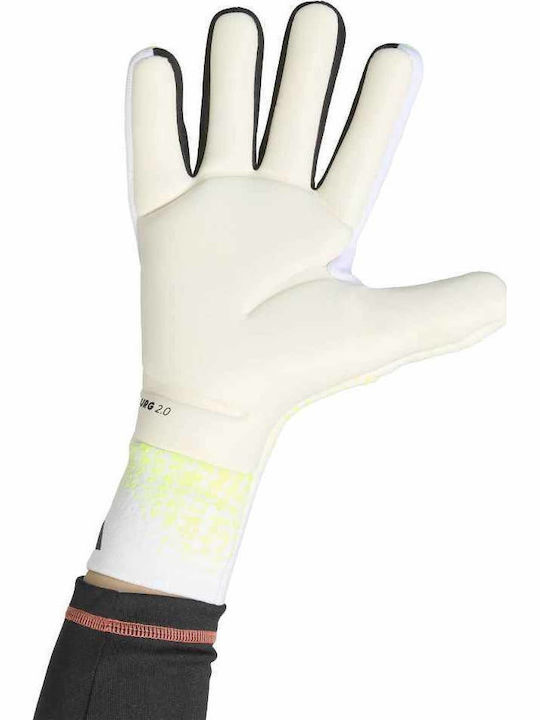 adidas Predator Pro Adults Goalkeeper Gloves Green