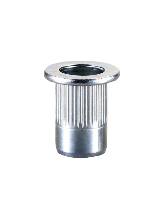 Πριτσίνια Eisen M10x21mm 100Stück