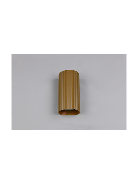 Trio Lighting Soka Σποτ σε Καφέ Χρώμα