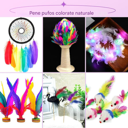 Set 300 Pene Decorativ Colorate pentru Creații DIY 8-12 Cm Pene Naturale de Gâscă Ornamente Decorare Proiecte Creative