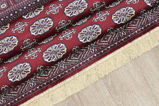 Newplan 248/301220 Rug Rectangular Summer with Fringes Bordeaux 5-05-SON-248_301220-100X140