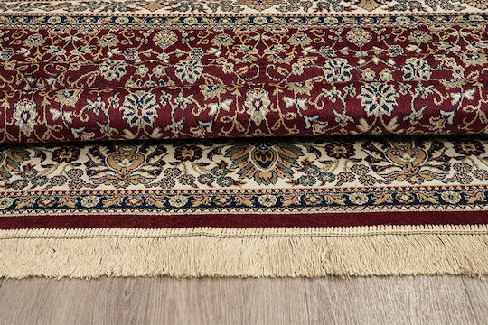 Newplan 240/301220 Rug Rectangular with Fringes Sonia