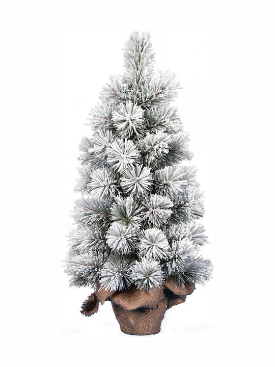 Colorado Christmas Tree 60cm Colorado Christmas Tree 60cm