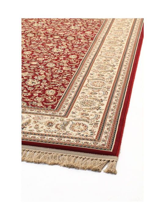 Royal Carpet Sherazad 6464 8712b
