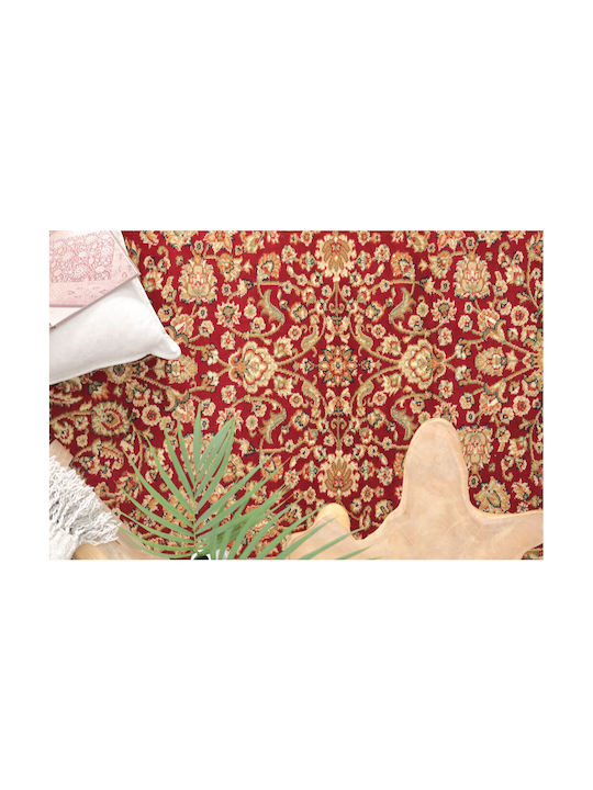 Royal Carpet 4262C Teppich Rechteckig Synthetisch,Polyester/Cotton/Leather Red