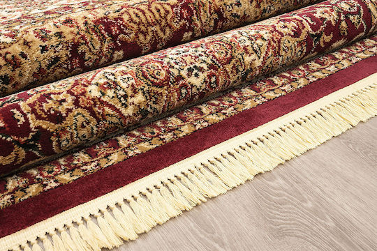 Newplan Persia 5649 Rug Rectangular with Fringes Burgundy