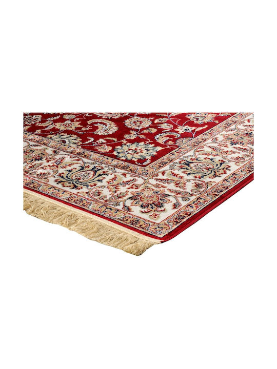Newplan Sonia 553/301220 R Teppich Rechteckig Synthetisch,Polyester/Cotton/Leather mit Fransen Bordeaux