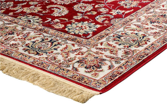 Newplan Sonia 553/301220 R Teppich Rechteckig Synthetisch,Polyester/Cotton/Leather mit Fransen Bordeaux