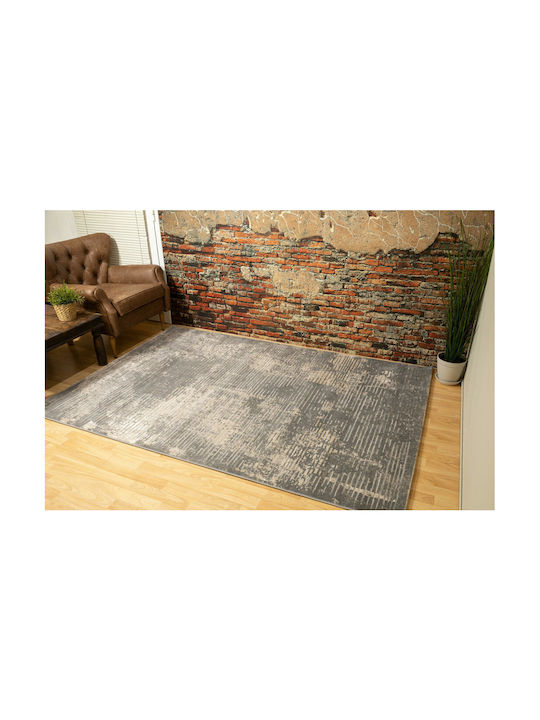 Ezzo 8131ACD Rug Rectangular Grey