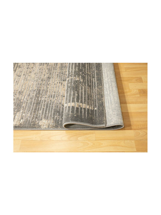 Ezzo 8131ACD Rug Rectangular Grey