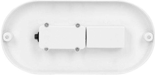 Redled Wall-Mounted Outdoor Ceiling Light LED IP65 12W with Natural White Light