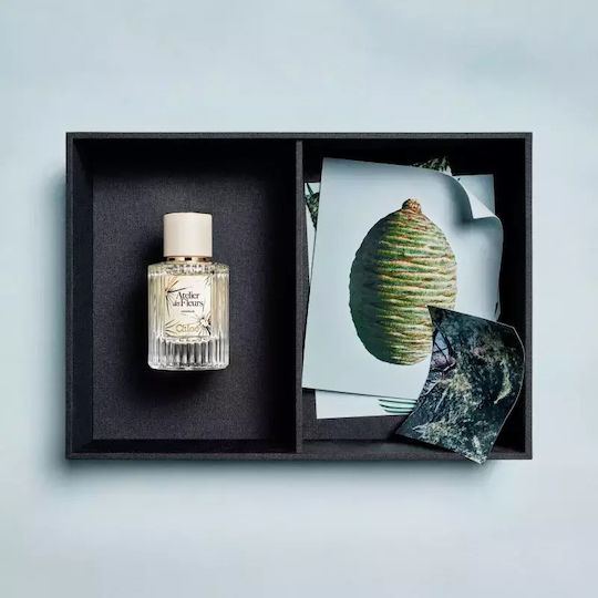 Chloé Atelier Des Fleurs Cedrus Eau De Parfum Femei 50 Ml