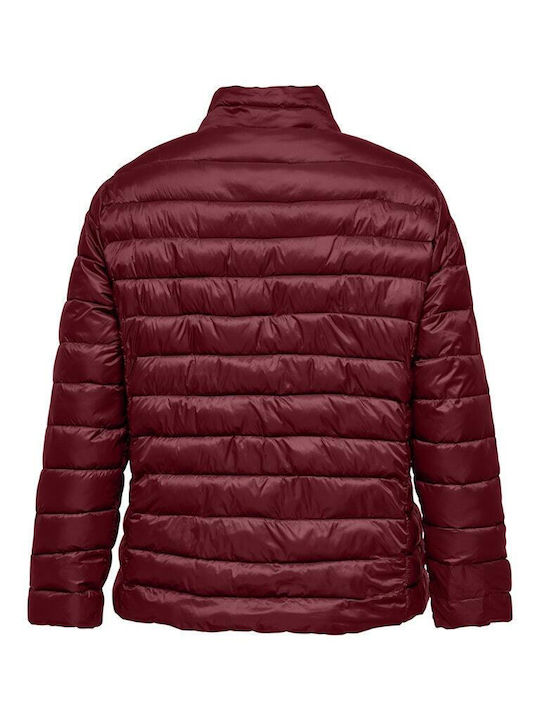Short Women's Puffer Jacket for Winter Purple