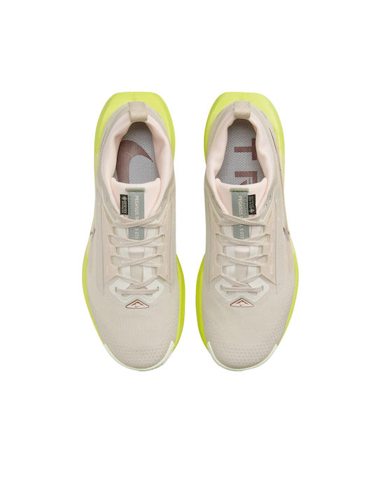 Pegasus Trail 5 GTX Sport Shoes Trail Running Waterproof with Gore-Tex Membrane Coffee