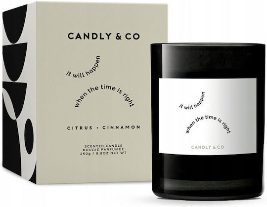 Candly & Co. Soja in Gefäß Schwarzes
