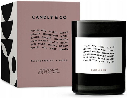 Candly & Co. Soja in Gefäß Schwarzes