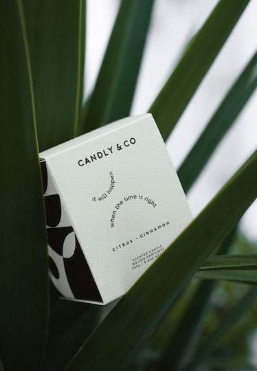 Candly & Co. Κερί Σόγιας σε Βάζο Μαύρο 250gr