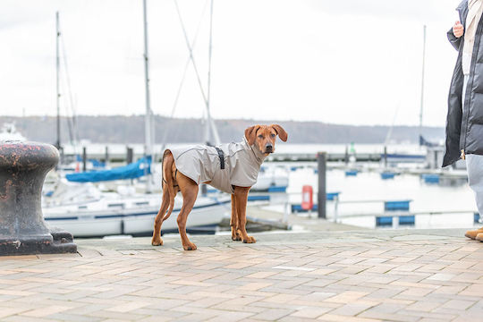 Trixie Husum Beige Waterproof / Windproof Dog Coat XSmall with 30cm Back Length