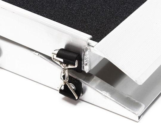 Wiltoc Ramp Car for Dog 122x38cm