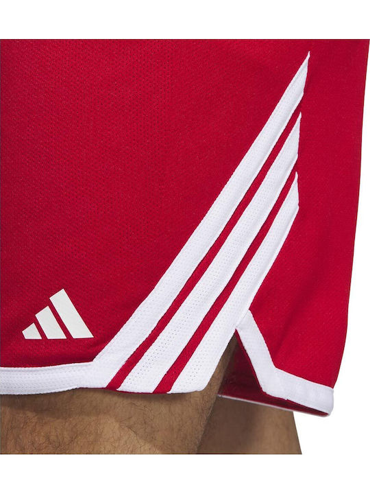 Sportliche Herrenshorts Rot