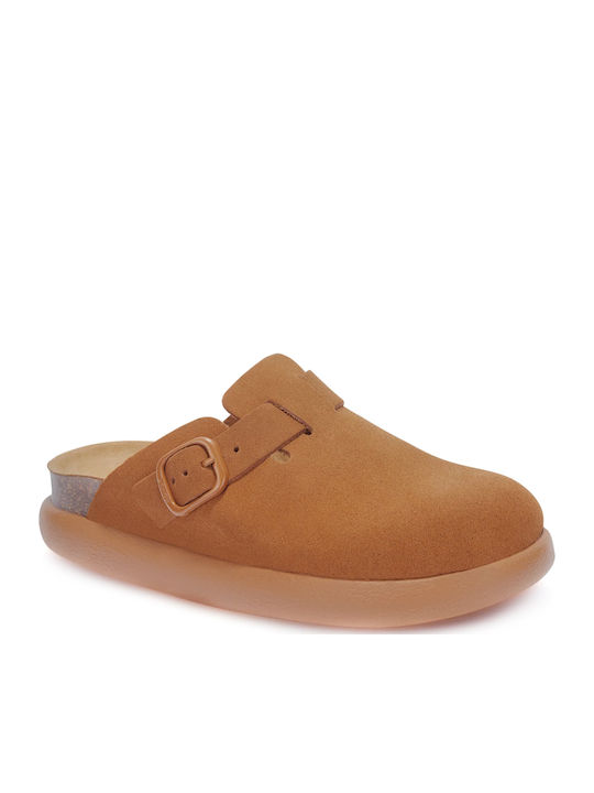 Scholl