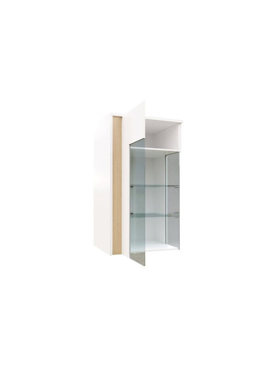 Livseri 105 Wall Living Room Display Cabinet made of Particleboard with Glass & Lighting Glossy Black, Glossy White, White 52x40x110cm