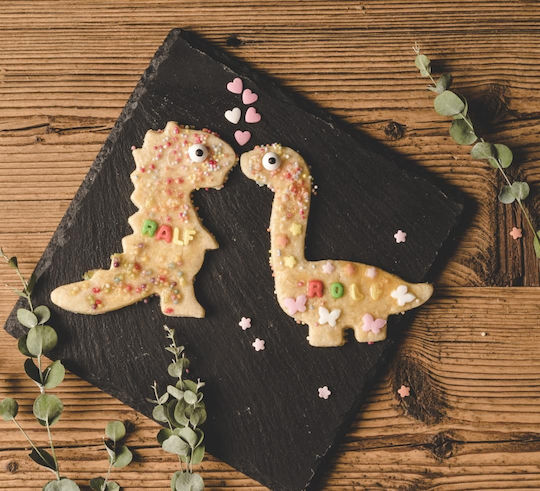 Lekkabox Rostfreier Stahl Keksausstecher Dinosaurier 2 Stück