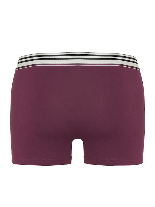 Men's Boxer Burgundy