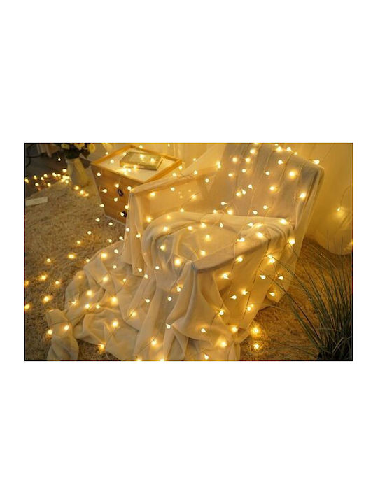Modee Lighting Christmas Lights LED Type Berry Power Supply 100 LED 10m 10cm Warm White