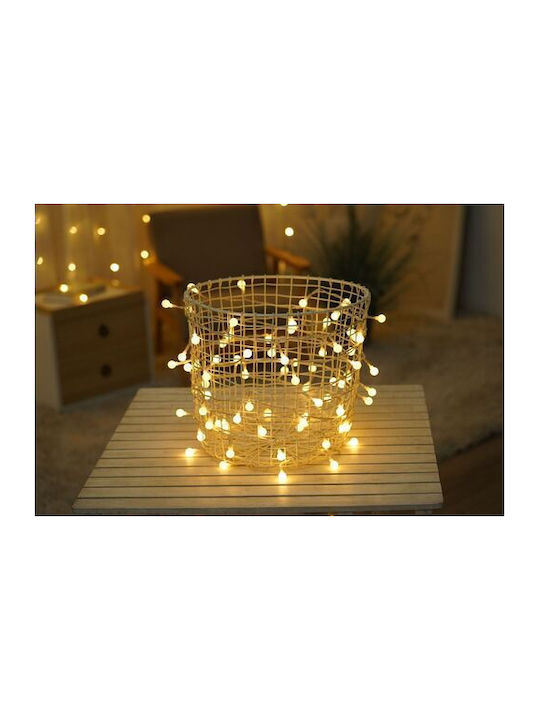 Modee Lighting Christmas Lights LED Type Berry Power Supply 100 LED 10m 10cm Warm White