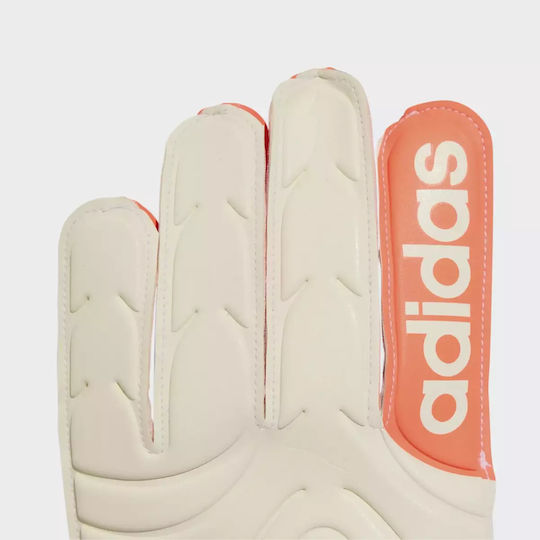 adidas Copa Torwarthandschuhe Kinder Weiß