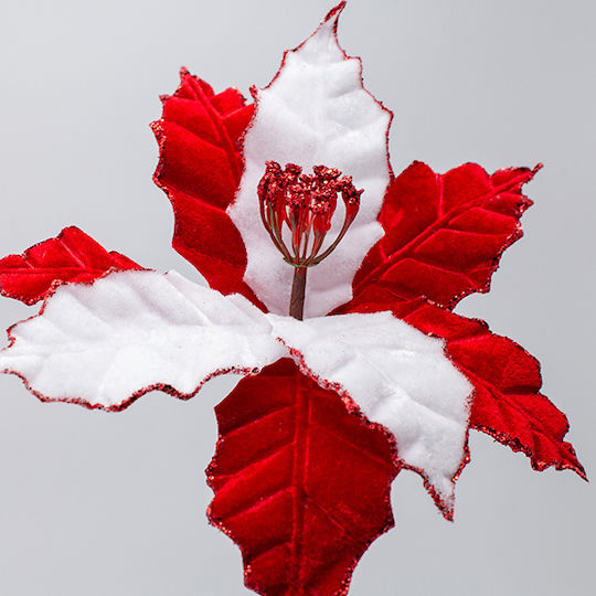 Eurolamp Christmas Decorative Alexandrian 27cm 35pcs