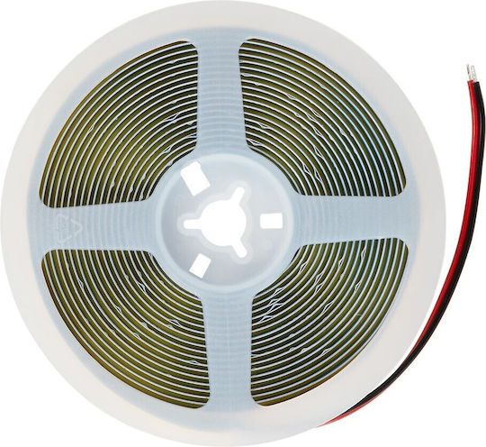 GloboStar Ταινία LED Bee 24V Ψυχρό Λευκό Φως 5m Τύπου COB