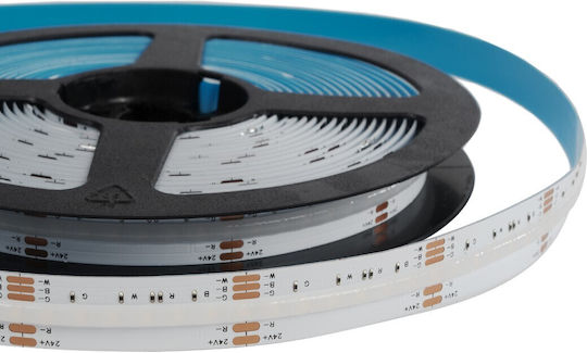 GloboStar Bee LED Strip 24V RGBWW Light 5m COB Type