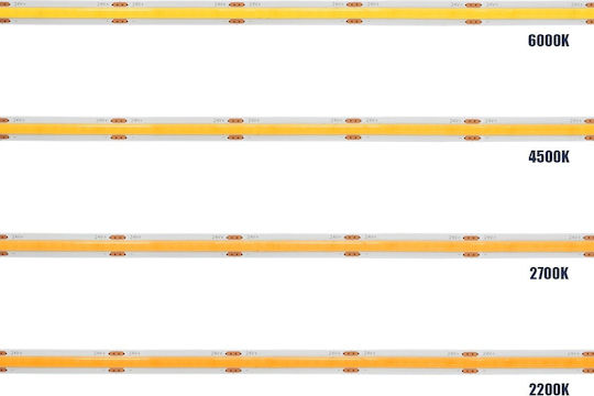 GloboStar Ταινία LED Bee 24V Ψυχρό Λευκό Φως 5m Τύπου COB