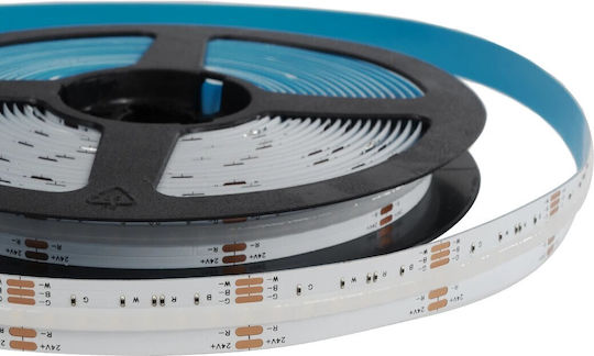 GloboStar Bee LED Strip 24V RGBWW Light 5m COB Type