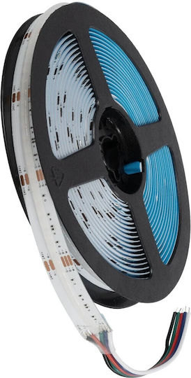 GloboStar Bee LED Strip 24V RGBWW Light 5m COB Type