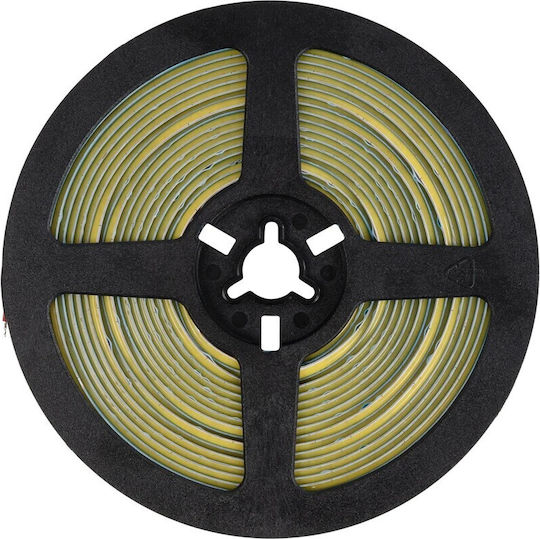 GloboStar Ταινία LED Bee 24V Φυσικό Λευκό Φως 5m Τύπου COB