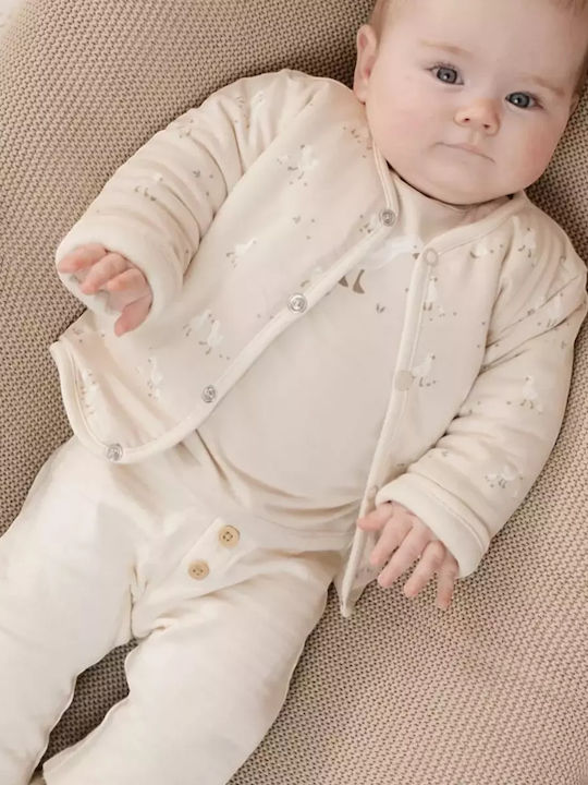 Little Dutch
