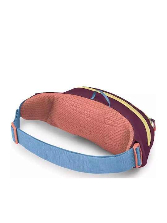 Daylite Waist Bag Burgundy