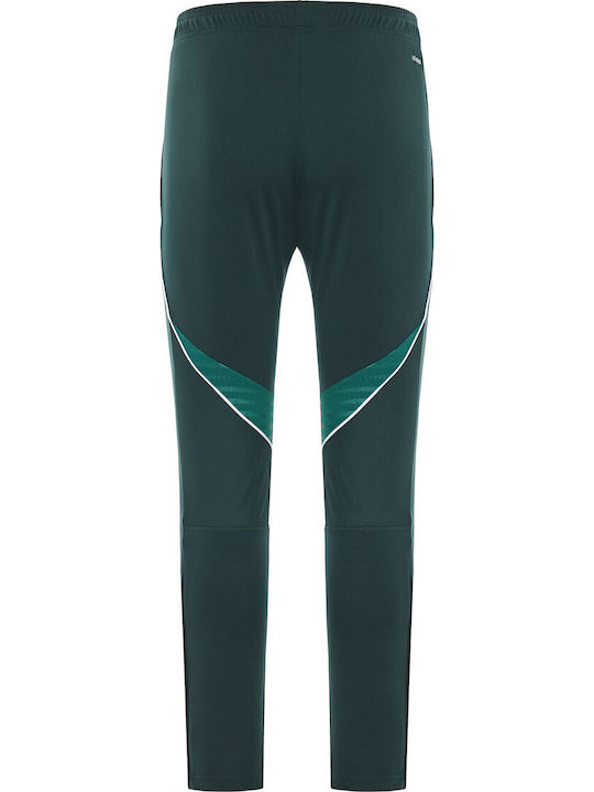 Pantaloni de trening Verde